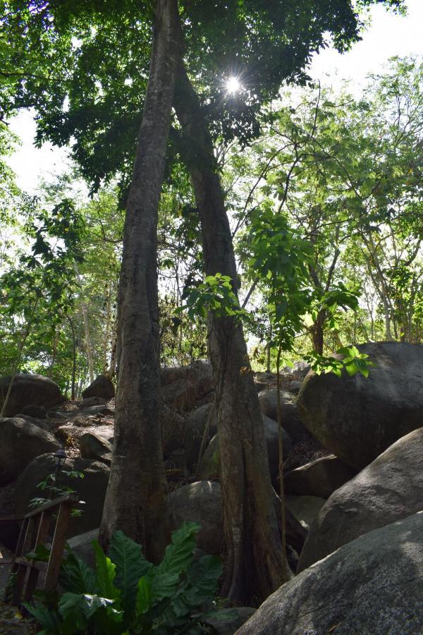 EcoHostal Rio Piedra El Zaino Esterno foto